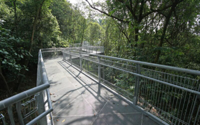 3 Years Design Term Contract For Nparks
